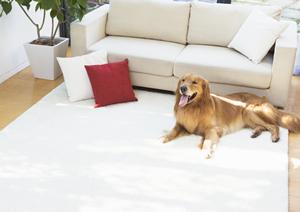 大分県内でおすすめのリフォーム業者