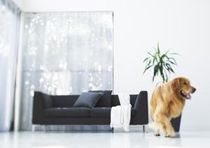 住宅の省エネ計算の希望について