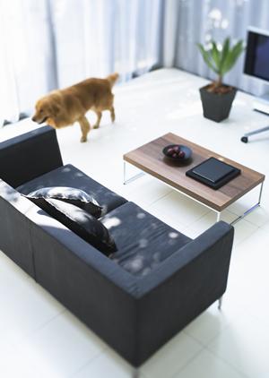 室内のインテリアも参考にしよう