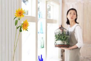 クレバリーホーム和泉モデルハウス – 現代的な間取りと設備を体感する場所