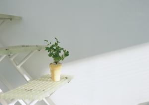 効果的なリフォームを提案する札幌の会社